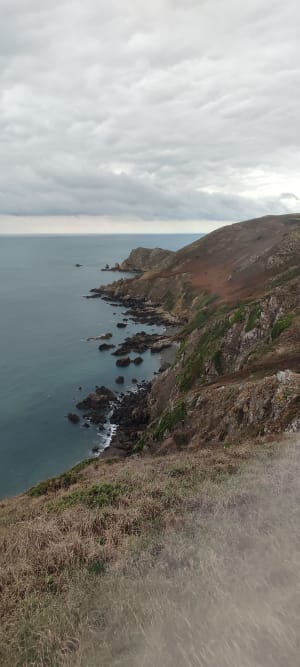 Nez de Jobourg, falaises et bocages normands - DOMINIQUE - 10