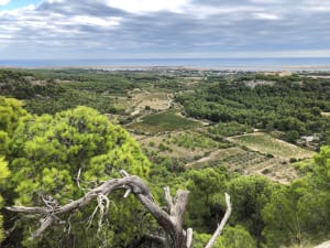 Gorges de la Goutine en prehistorische grotten - Joëlle  - 4