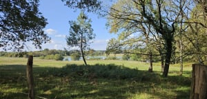 Balade près du Lac de Bretagne - Laurent - 6