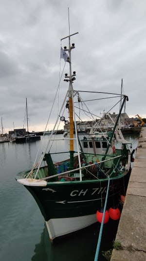 Sentiers Vauban-St Vaast la Hougue - Corinne - 8