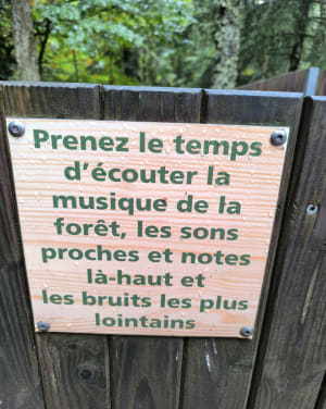 Parcours sylvatorium des capucines au Mont Dore - Mont-Dore - 8