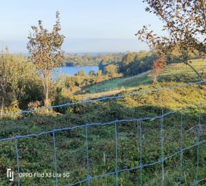 Belle Balade en famille sur le sentier du Fartz de Wissant - Wissant - 11