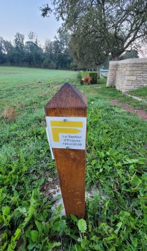Route des champs - Delphine - 2