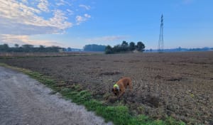Route des champs - Delphine - 5