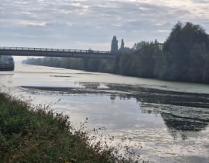 Entre terre et eau le long du Canal D'Aire - Peggy - 4