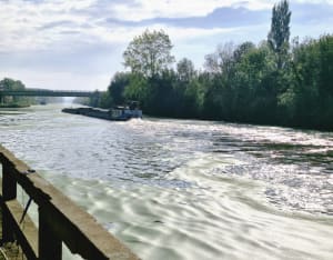 Entre terre et eau le long du Canal D'Aire - Peggy - 5