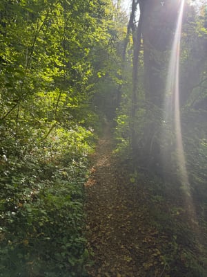 Rando en forêt d'Houppeville - Grégory - 2