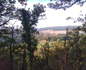 La Roche d'Oëtre et la Rouvre par le sentier des méandres - Nicole - 4