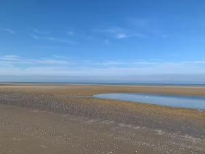 La baie de fort mahon - Françoise - 3