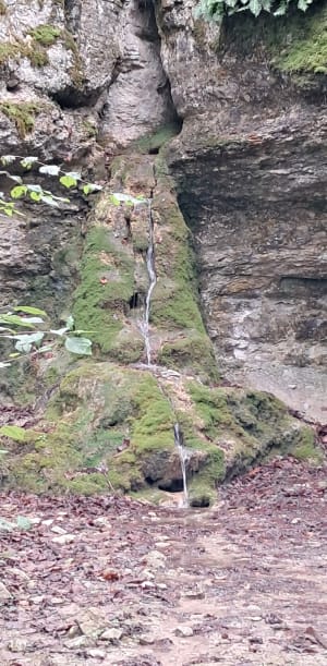 Source de Crosne et combe du pré - Sylvie - 6