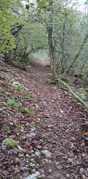 Source de Crosne et combe du pré - Sylvie - 8