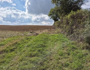 Les vignes de Maresquel-Ecquemicourt - Karine - 3