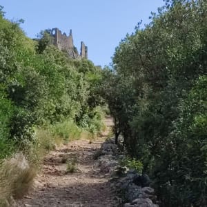 Montée au Château de Montferrand - MURIEL - 8
