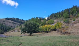 Le cirque des Marmottes - Francis - 6