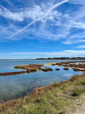 Tour des étangs à Palavas-les-Flots et bain d'air iodé - Sophie - 2