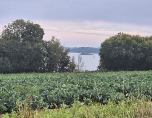 Littoral de Minihic sur la Rance, par la Pointe du Crapaud - audrey - 6