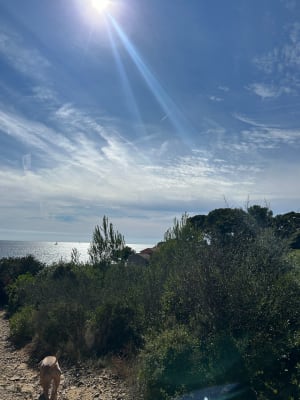 Kustpad in Saint-Mandrier-sur-Mer - Lisa - 6