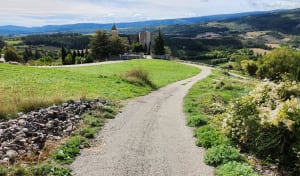 Chemin des lavandes à Sault - Nicolas - 7