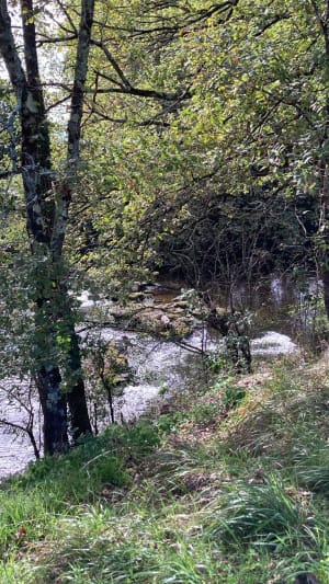 Du côté de la Borde Basse à Castres - Marie - 6