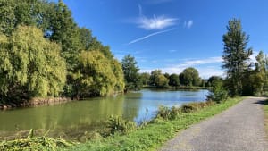 Du côté de la Borde Basse à Castres - Marie - 7