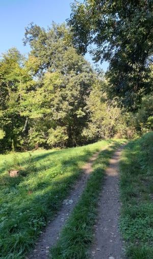 Tour des bois de Poisat et bouffée d'oxygène - Charlène - 4