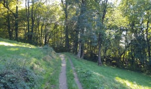 Tour des bois de Poisat et bouffée d'oxygène - Charlène - 5