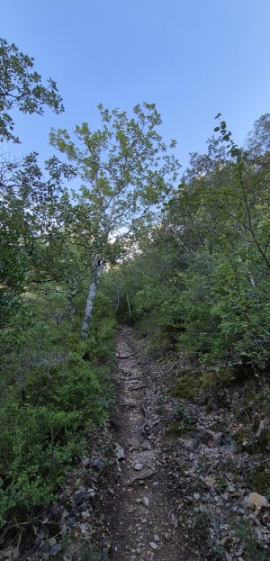 Routes et chemins à Gréou Les Bains - Gréoux-les-Bains - 4