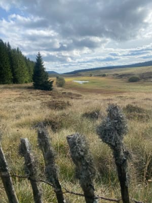 Meer Pavin, Puy Montchal en meer Estivadoux - Glwadys - 12