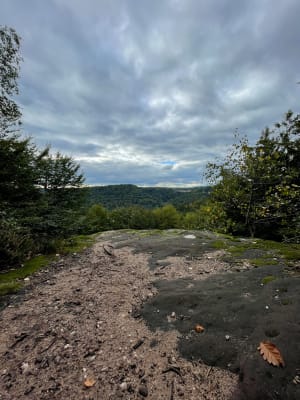 Le Saut du Chien depuis La Petite Pierre - Dylan - 2