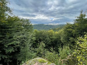Le Saut du Chien depuis La Petite Pierre - Dylan - 3