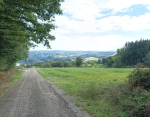 Menhir, Les Cerisiers - Davy - 2