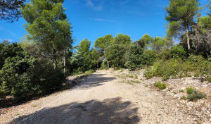 DFCI Bedoin - Nicolas - 2