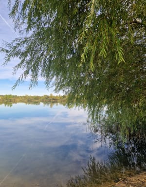 Balade autour des lacs de Vauvert - AGNES - 3