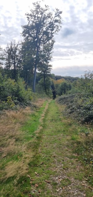 Wandel door Lyons-la-Forêt en de charmes van weleer - Emilie - 7