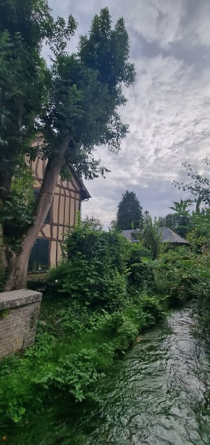 Wandel door Lyons-la-Forêt en de charmes van weleer - Emilie - 4