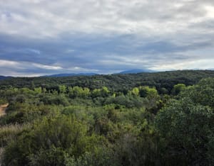La Bataille du Boulou depuis le Pla del Rey - Julien - 5