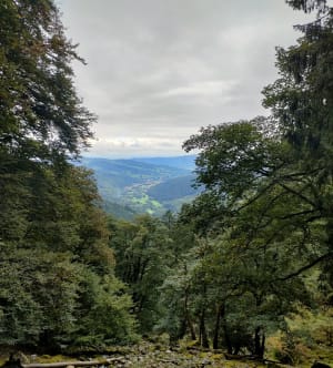 Le sentier des roches - Antoine - 11