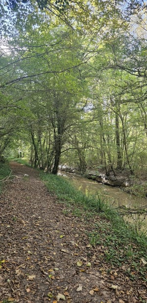 Escapade nature à Prignac-et-Marcamps et détente assurée - Prignac-et-Marcamps - 2