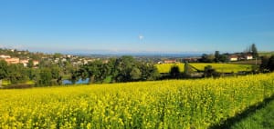 Vaugneray, Col de Fausse, les Roches - Christel - 3