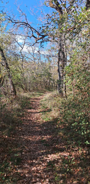 Les chemins de Montagudet - Montagudet - 2