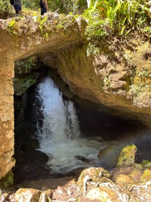 Le Cirque de Navacelles et les moulins de la Foux - Émilie - 6