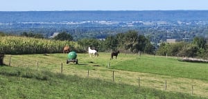 Montgaillard par Las Puyoles - Karine - 8