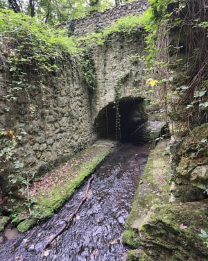 Sentier des côtes de Montbron - Valerie - 4
