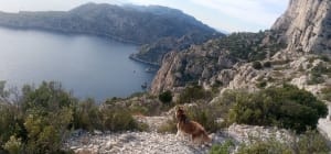 La calanque du Devenson, son cap et ses falaises - Charlotte - 5