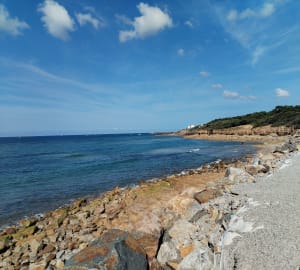 Moeras, oesterpark, strand van Veillon... - Frederic - 11