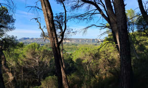Wandel onder de bomen van de Luberon - Roland - 3