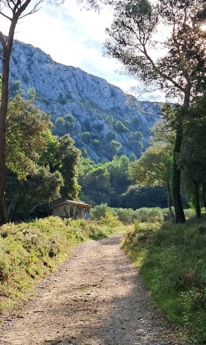 Wandel onder de bomen van de Luberon - Roland - 2