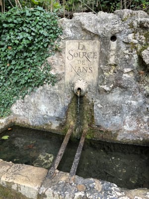 La grotte Sainte-Marie-Madeleine et la Sainte-Baume - Thomas - 9