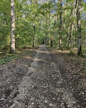 Circuit des trois forêts - Intox - 4