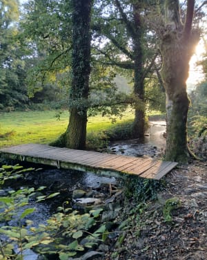 Questembert - sentier des popinettes - Josselyne - 4